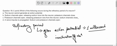 question-18-1-point-which-of-the-following-occurs-during-the-refractory-period-of-a-neuron-the-neuron-cannot-generate-an-action-potential-sodium-channels-open-releasing-sodium-ions-into-the-66296
