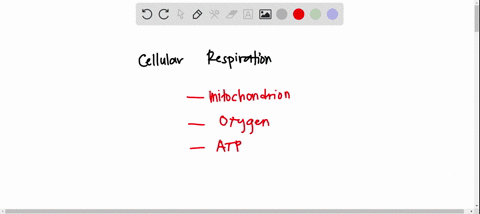 which-of-the-following-describes-cellular-respiration-10-which-of-the-following-describes-cellular-respiration-carbon-dioxide-water-atp-_-glucose-oxygen-water-oxygen-glucose-atp-glucose-oxyg-45026