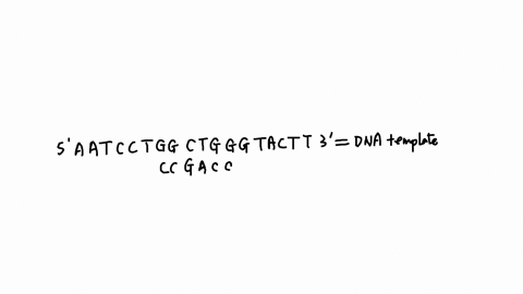 question-21-2-pts-the-figure-below-represents-a-single-stranded-dna-molecule-that-has-formed-base-pairs-with-a-short-oligonucleotide-primer-5-3-atfc8f8-6-c-t-g-g-g-t-a-c-t-t-c-8-a-ll-what-is-33588