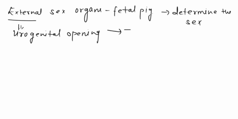 1-describe-the-external-sex-organs-of-your-fetal-pig-how-did-you-use-these-structures-to-determine-the-sex-of-your-pig-2-where-are-the-testes-located-and-why-3-what-structure-do-the-female-f-04487
