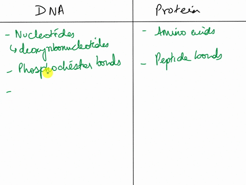 compare-and-contrast-the-different-levels-of-dna-and-protein-structure-61875