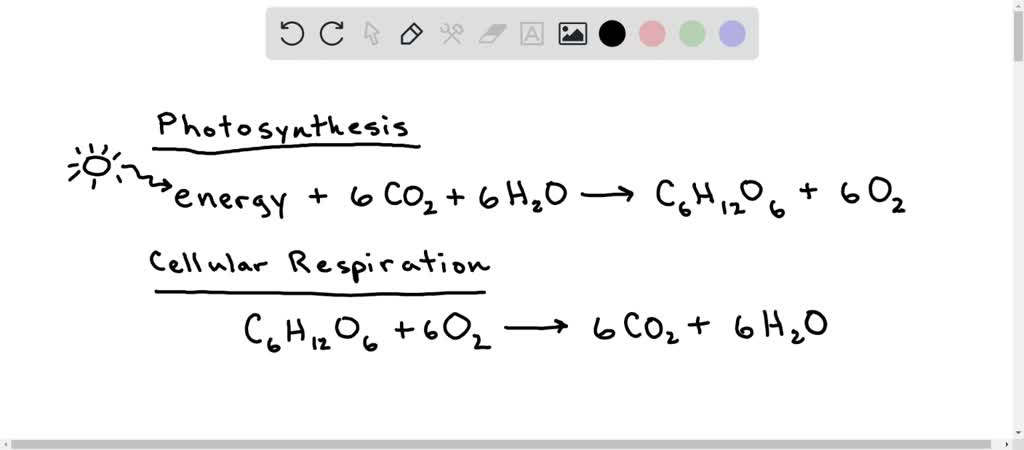 photosynthesis reactants and products