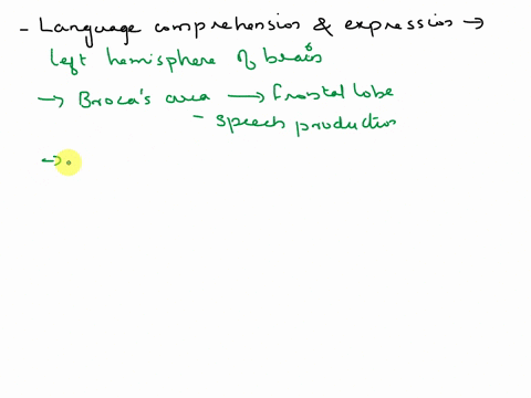 1-locate-and-explain-the-areas-of-the-brain-that-are-essential-to-the-comprehension-and-expression-of-language-in-which-lobes-of-the-brain-are-they-located-on-which-side-of-the-brain-are-the-58485