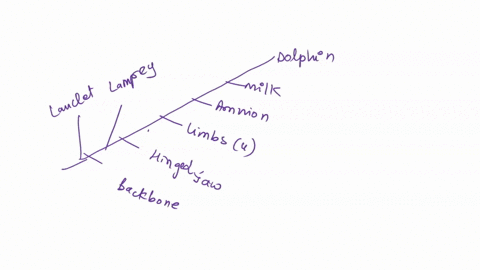scientific-inquiry-bullet-draw-it-a-draw-a-phylogenetic-tree-based-on-characters-1-5-in-the-table-be-41177