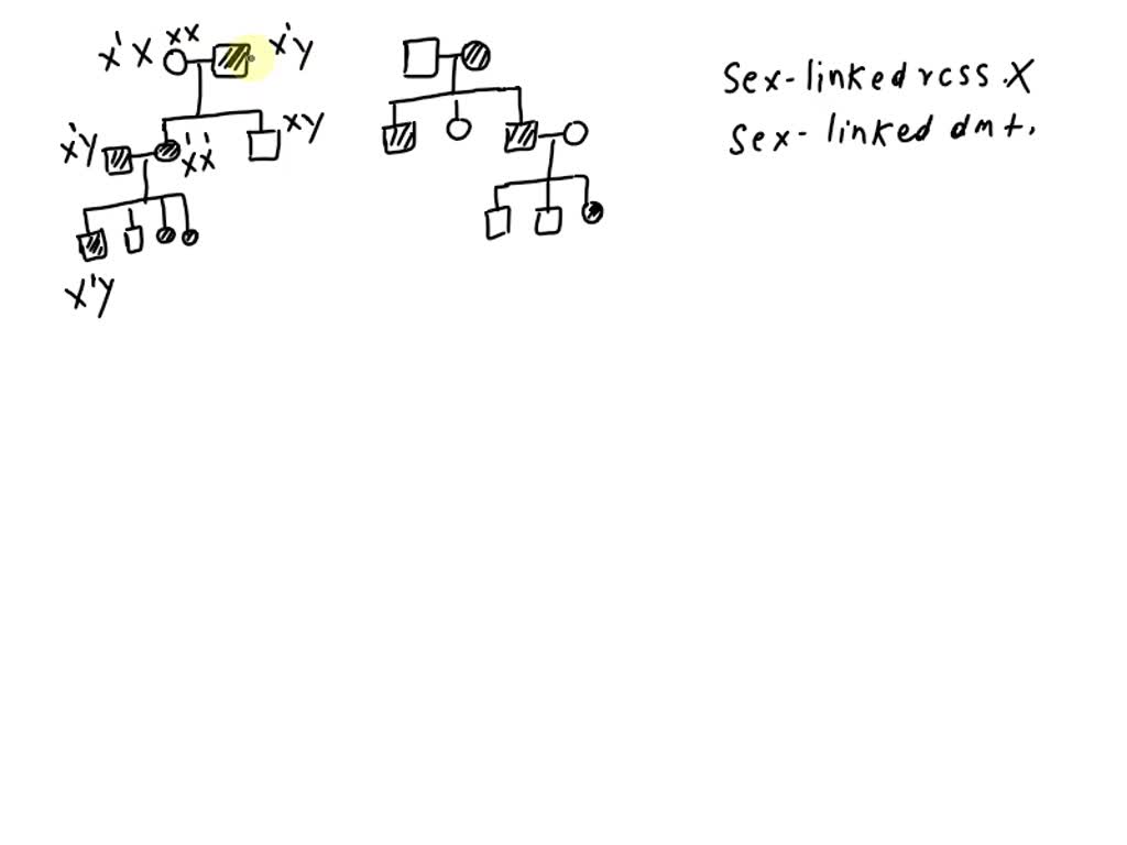 Answer True False: The diagram below shows the pedigree of deafness in a  family. Circles/squares