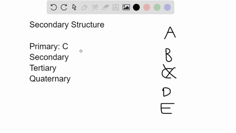 which-of-the-following-constitutes-secondary-structure-of-a-protein-a-the-folding-of-a-polypeptide-chain-b-the-association-of-several-polypeptide-chains-c-the-linear-sequence-of-amino-acids-61278