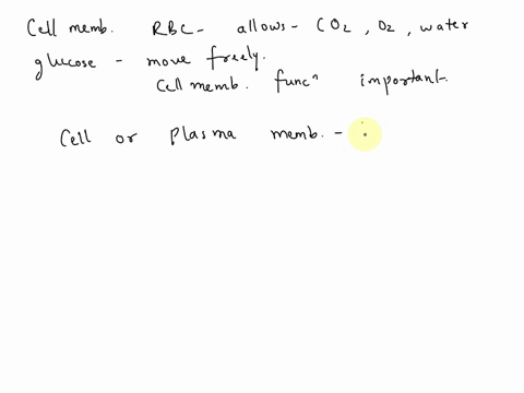 the-cell-membrane-of-the-red-blood-cell-will-allow-water-oxygen-carbon-dioxide-and-glucose-to-enter-and-leave-the-membrane-why-is-this-function-of-the-cell-membrane-important-55984