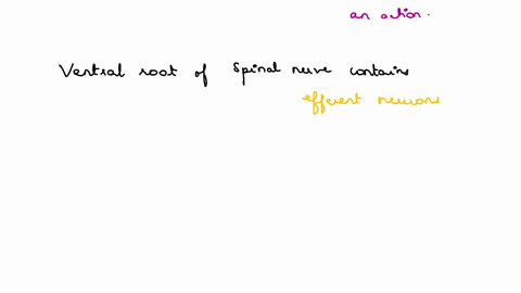 question-5-1-pts-cell-bodies-of-efferent-neurons-are-found-in-the-select-all-that-apply-precentral-gyrus-dorsal-horn-of-the-spinal-cord-postcentral-gyrus-ventral-horn-of-the-spinal-cord-42367
