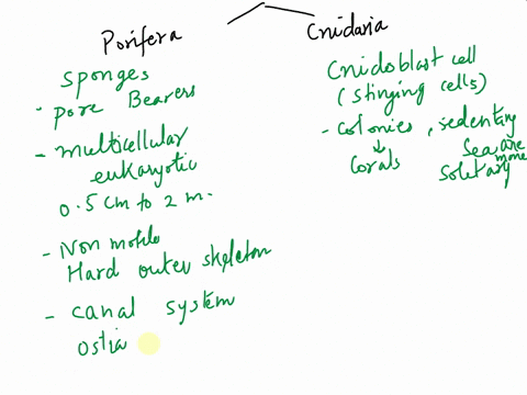 question-phylum-porifera-and-phylum-cnidaria-are-both-members-of_-kingdom-animalia-describes-some-qualities-these-phyla-share-which-phyla-more-complex-how-does-their-complexity-relate-their-45862