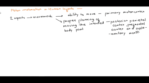 motor-maturation-human-infants-are-at-first-limited-to-gross-movements-of-the-trunk-arms-and-legs-the-ability-to-move-one-finger-at-a-time-matures-gradually-over-at-least-the-first-year-what-59083