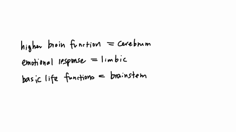 3-regions-of-the-brain-matching-options-limbic-system-cerebrum-brainstem-none-all-regions-higher-brain-functions-plays-a-role-in-emotional-response-basic-life-functions-such-as-breathing-involved-in-s
