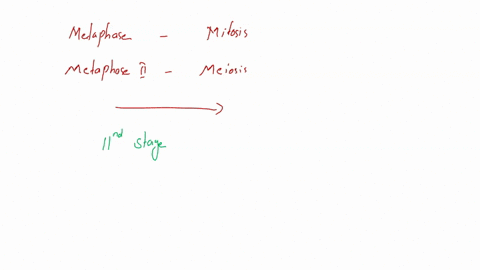 what-is-true-about-metaphase-mitosis-and-metaphase-il-in-meiosis-there-is-one-set-of-chromosome-in-the-metaphase-of-mitosis-but-two-sets-of-chromosomes-in-metaphase-il-in-meiosis-there-are-t-84362