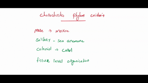 list-10-characteristics-associated-with-phylum-cnidaria-what-does-it-mean-t0-be-diploblastic-describe-the-layering-pattern-what-do-these-layers-develop-into-in-the-mature-adult-organism-what-41332