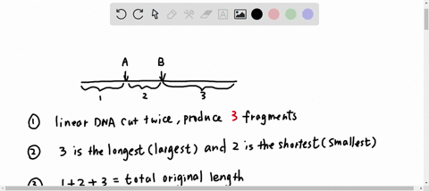 3-an-important-feature-of-restriction-enzymes-is-that-each-enzyme-only-recognizes-specific-palindrome-and-cuts-the-dna-only-at-that-specific-sequence-of-bases-a-palindromic-sequence-can-be-r-15672