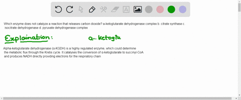 which-enzyme-does-not-catalyze-a-reaction-that-releases-carbon-dioxide-a-ketoglutarate-dehydrogenase-complex-b-citrate-synthase-c-isocitrate-dehydrogenase-d-pyruvate-dehydrogenase-complex-23634
