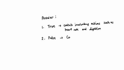 32-multiple-choice-15-points-which-of-the-following-statements-correctly-describes-nervous-system-organization-the-autonomic-nervous-system-is-part-of-the-motor-division-the-autonomic-division-stimula