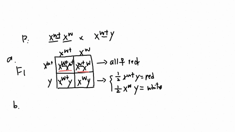 you-conduct-the-following-cross-using-red-eyed-white-eyed-mutant-drosophila-pxwtixwxxwtn-what-genotypic-and-phenotypic-proportions-do-you-expect-in-the-f1-b-the-female-flies-in-the-f1-may-be-40657