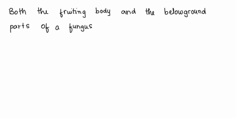of-a-fungus-is-made-up-ot-mycelia-what-part-only-the-belowground-parts-only-the-fruiting-body-both-the-fruiting-body-and-the-belowground-parts-only-the-aboveground-parts-10145