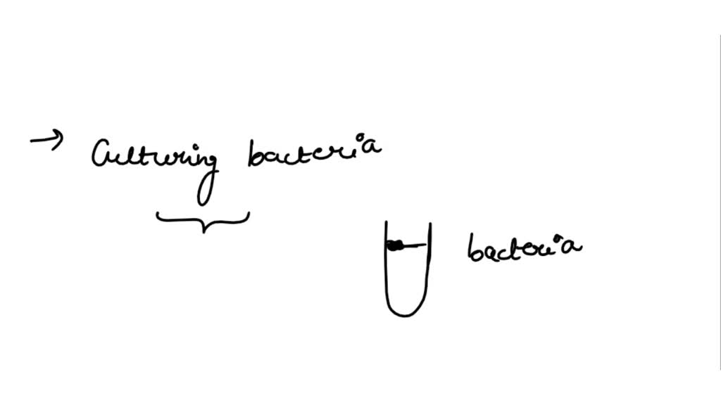 SOLVED Cultures of a bacterial strain were incubated in a standard