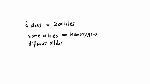 when-the-pcr-only-generates-one-band-such-as-for-the-str-a-marker-on-both-aleles-how-would-we-describe-the-animals-in-respect-to-that-marker-a-recessive-b-heterozygous-c-homozygous-d-dominant