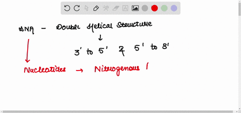 describe-and-draw-the-structure-and-function-of-dna-and-rna-08926