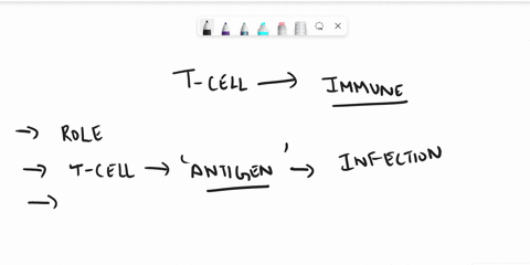 which-one-of-the-following-statements-about-t-cells-involved-in-an-immune-response-is-not-true-a-activated-t-cells-receive-survival-signals-from-antigen-during-an-infection-b-activated-t-cel-58492