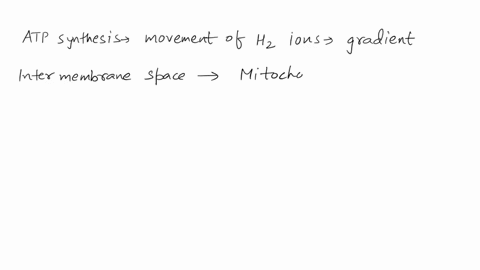 a-mitochondrial-membrane-complex-consisting-of-atp-synthase-adenine-nucleotide-translocase-atp-adp-translocase-and-phosphate-translocase-functions-in-oxidative-phosphorylation-adenine-nucleo-07892