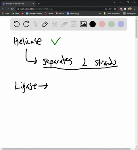 which-of-the-following-replication-proteins-is-correctly-paired-with-its-function-helicase-enhances-separation-of-dna-strands-ligase-synthesizes-a-short-rna-sequence-to-initiate-replication-34388