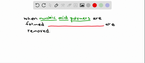 what-is-removed-during-the-formation-of-nucleic-acid-polymers-a-carbon-b-hydroxyl-groups-c-phosphates-d-amino-acids-3