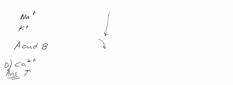 question-9-1-point-llazen-which-of-the-following-ions-is-essential-in-the-release-of-neurotransmitters-at-the-synapse-in-order-to-continue-the-propagation-of-the-action-potential-across-the-64974