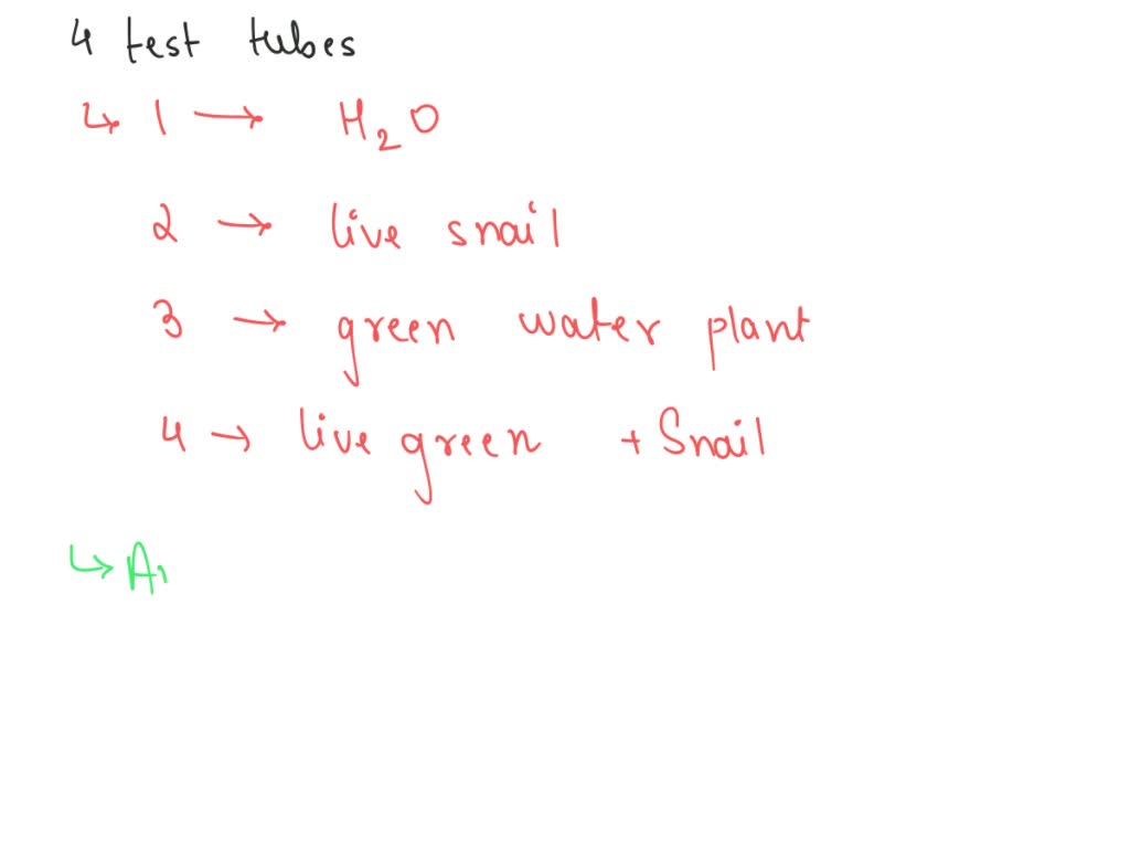 SOLVED The control in the experiment is the test tube with 2 snails