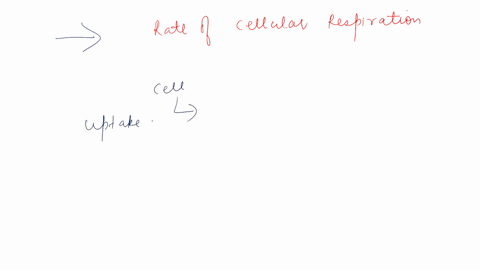 which-of-the-following-might-increase-the-rate-of-cellular-respiration-decreasing-the-duration-of-light-decreasing-the-intensity-of-light-increasing-the-amount-of-oxygen-increasing-the-amoun-37208
