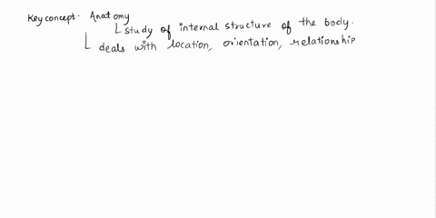 what-is-the-relationship-between-anatomy-and-physiology-36842