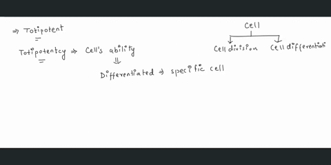 which-of-the-following-cell-is-totipotent-a-meristem-b-sieve-tube-c-collenchyma-d-xylem-vessel-52584