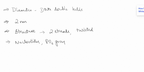 what-n-8-dia-ia-tuvk-ef6-rule-ins-47-always-pairs-raeleotade3-with-at-and-always-how-this-pairs-with-2-dna-circle-puta-one-sugar-phosphate-square-nucleotide-around-backbone-the-56473