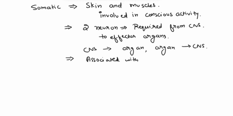 drag-each-of-the-following-labels-into-the-appropriate-box-to-identify-which-motor-division-of-the-peripheral-nervous-system-s-described-associate-sensory-receptors-for-touch-autonomic-sorna-75228