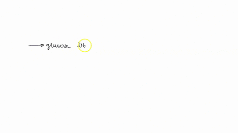 question-40-2pts-molecules-such-as-glucose-may-need-a-particular-protein-called-a-to-move-through-the-membrane-question-41-2-pts-movement-across-the-cell-membrane-that-does-not-requlre-energ-27998