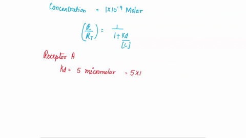 ka-dissociation-constant-kon-r-receptor-rl-rl-l-ligand-koff-total-rec-rv-r-rl-rl-rt-rriil-rl-kd-kd-1-l-questions-youve-identified-a-drug-that-has-the-potential-to-bind-and-inhibit-5-differen-46754