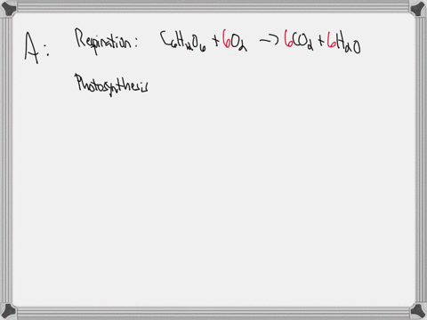 2assertion-a-photosynthesis-is-an-opposite-reaction-of-respirationreason-r-a-combination-reaction-is-always-opposite-of-its-decomposition-reactiona-both-a-and-r-are-true-and-r-is-the-correct-98366