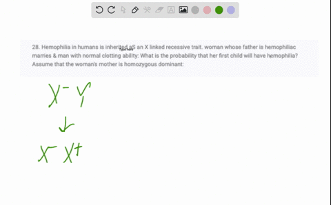28-hemophilia-in-humans-is-inherited-as-an-x-linked-recessive-trait-woman-whose-father-is-hemophiliac-marries-man-with-normal-clotting-ability-what-is-the-probability-that-her-first-child-wi-57205