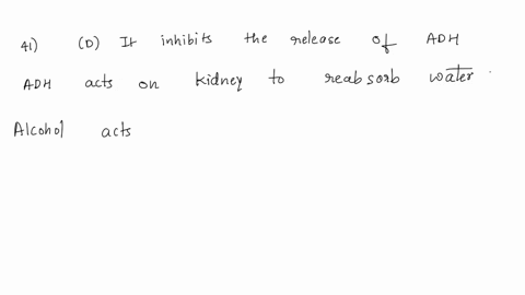 alcohol-acts-as-a-diuretic-because-it-________-a-is-not-reabsorbed-by-the-tubule-cells-b-increases-secretion-of-adh-c-inhibits-the-release-of-adh-d-increases-the-rate-of-glomerular-filtratio-25863
