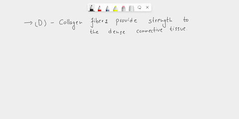 question-completion-status-moving-to-the-next-question-prevents-changes-question-11-to-this-answe-which-of-the-following-5-areolar-tissue-irue-dense-rconsists-of-tightly-packed-connective-is-78203