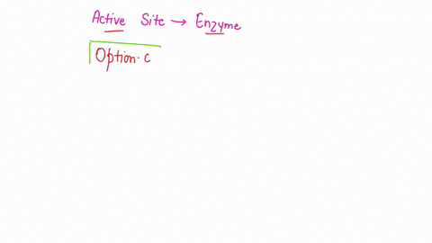 which-of-the-following-will-bind-to-the-active-site-ofan-enzyme-select-one-a-substrate-only-b-allosteric-inhibitor-only-competitive-inhibitor-only-noncompetitive-inhibitor-only-e-both-substr-04145