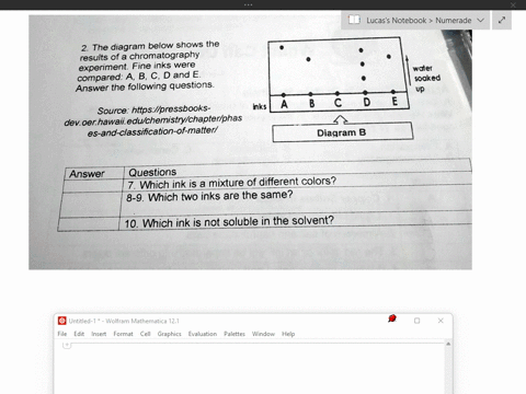 2-the-diagram-below-shows-the-results-of-a-chromatography-experiment-fine-inks-were-compared-a-b-c-d-and-e-answer-the-following-questions-water-soaked-up-inks-b-c-d-e-source-httpspressbooks-35045