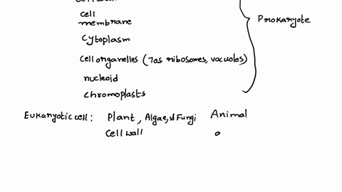 which-cell-structure-serves-the-stated-function-in-both-eukaryotic-and-prokaryotic-cells-47317