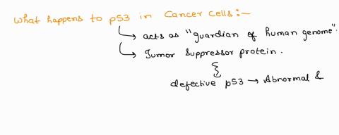 apoptosis-or-programmed-cell-death-happens-for-many-different-reasons-it-occurs-as-a-normal-process-during-embryonic-development-when-some-cells-or-tissues-that-are-no-longer-needed-are-elim-02594