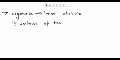 the-organelle-with-inner-christae-which-is-often-referred-to-as-the-powerhouse-of-the-cell-where-atp-is-made-is-the-mitochondria-nucleus-peroxisomes-ribosome-72417