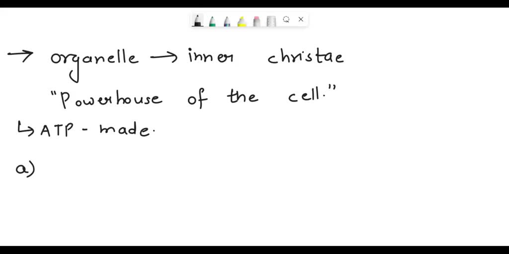 the blank is often referred to as the powerhouse of the cell