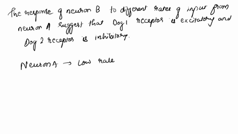 neuron-a-neuron-b-assume-the-following-neuron-a-forms-synapse-with-neuron-b-neuron-a-is-a-dogium-neuron_-dogium-is-neurotransmitter-than-binds-to-ionotropic-receptors-dogi-and-dog2-neuron-b-69765