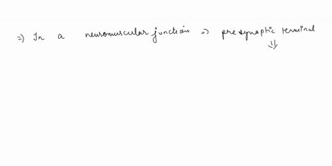 524-pm-mon-nov-8-22-in-a-neuromuscular-junction-in-the-presynaptic-terminal-small-round-membranous-structures-are-called-the-vesicles-contain-a-neurotransmitter-called_acctykholine-ach-recep-79716